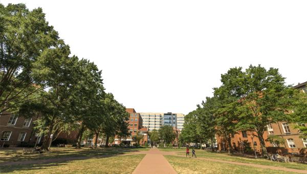 University Yard outside the law school complex